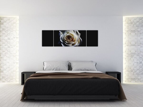 Obraz bílé růže (170x50 cm)