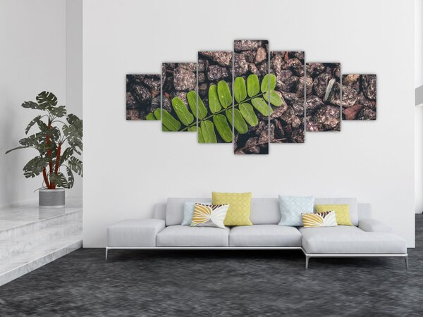 Obraz zelené rostliny (210x100 cm)