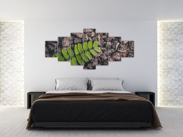 Obraz zelené rostliny (210x100 cm)