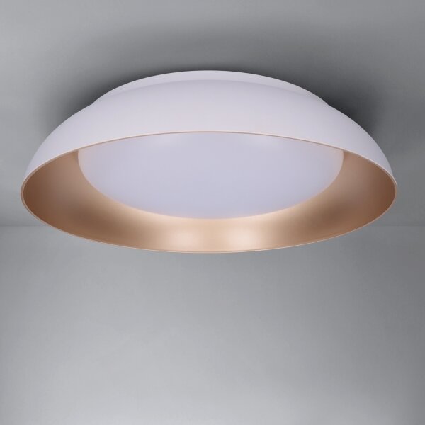 Brilagi -LED Stmívatelné svítidlo ALVA LED/48W/230V 3000-6500K pr. 51 cm bílá+DO