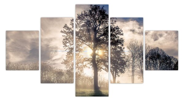 Obraz stromu v mlze (125x70 cm)