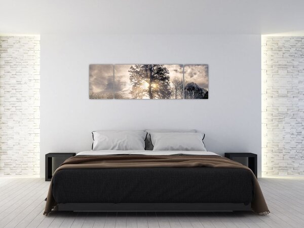 Obraz stromu v mlze (170x50 cm)