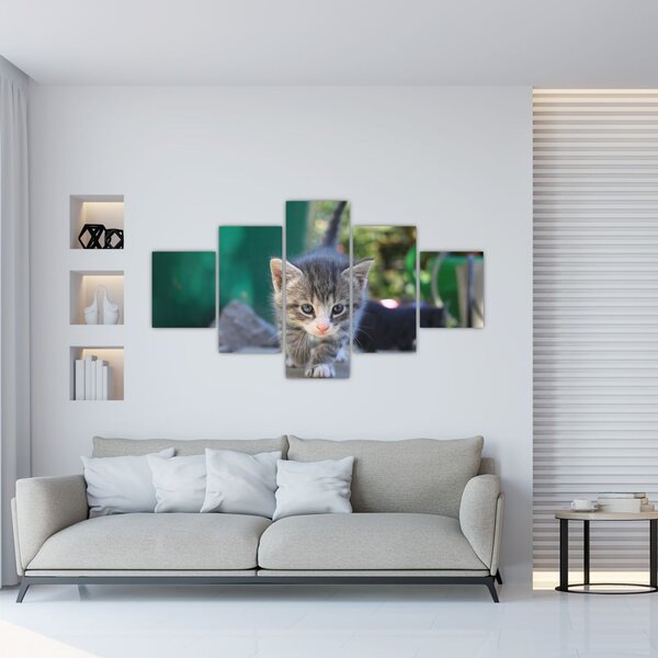 Obraz koťátka (125x70 cm)