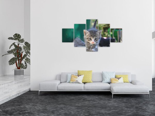 Obraz koťátka (125x70 cm)