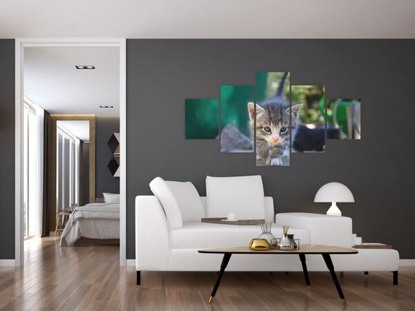 Obraz koťátka (125x70 cm)
