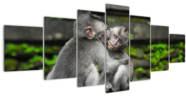 Obraz - opičky (210x100 cm)