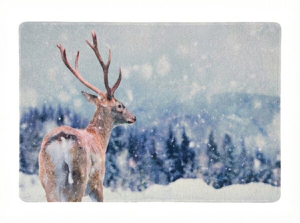 Vánoční rohožka WILD IN WHITE 38x58 cm - více variant Varianta: Veverka