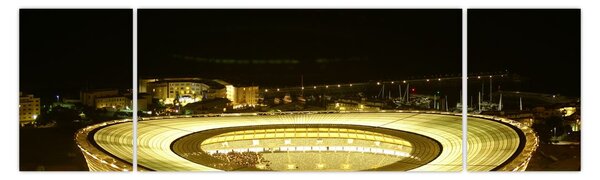 Obraz - fotbalový stadion (170x50 cm)
