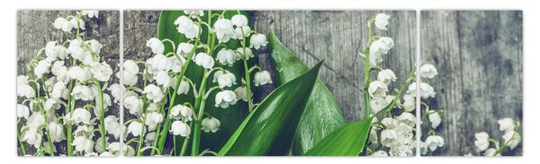 Obraz konvalinek (170x50 cm)