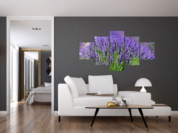 Obraz - levandule (125x70 cm)