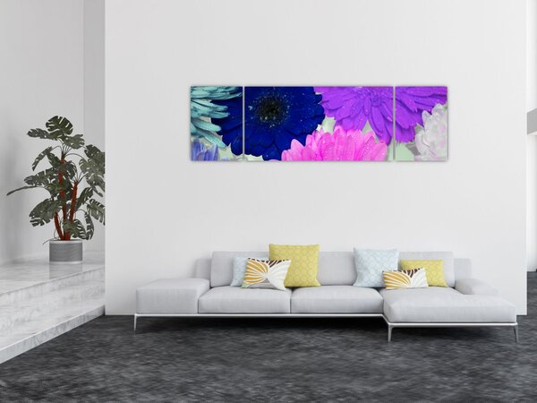 Obraz barevných květin (170x50 cm)
