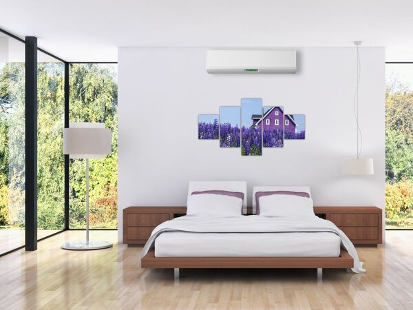 Obraz levandulového pole (125x70 cm)