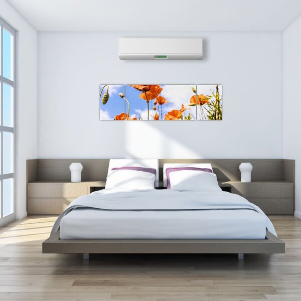 Obraz vlčích máků (170x50 cm)