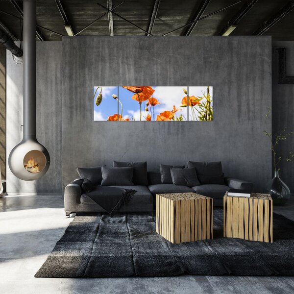 Obraz vlčích máků (170x50 cm)