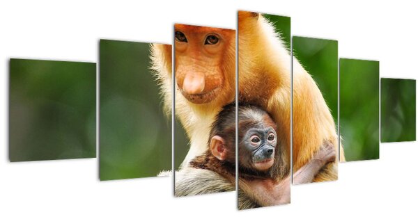 Obraz opic (210x100 cm)
