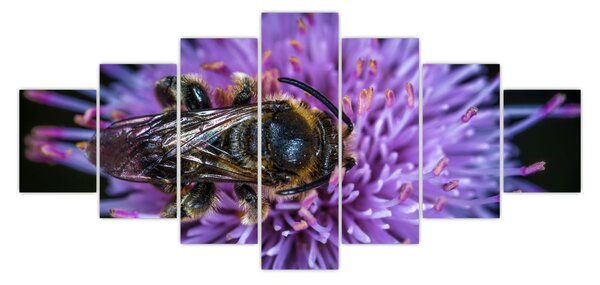Obraz včely na květině (210x100 cm)