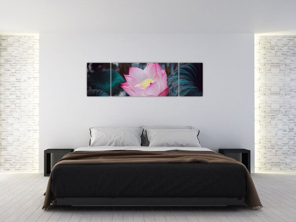 Obraz růžové květiny (170x50 cm)
