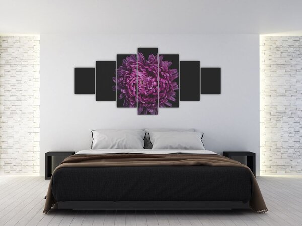 Obraz fialové květiny (210x100 cm)
