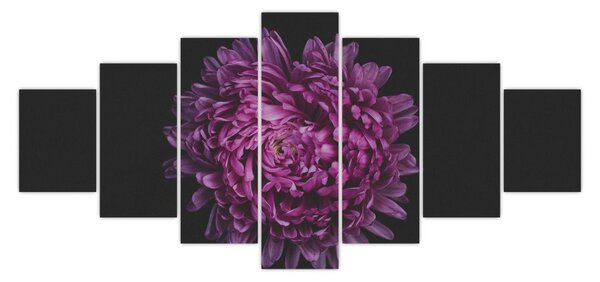 Obraz fialové květiny (210x100 cm)
