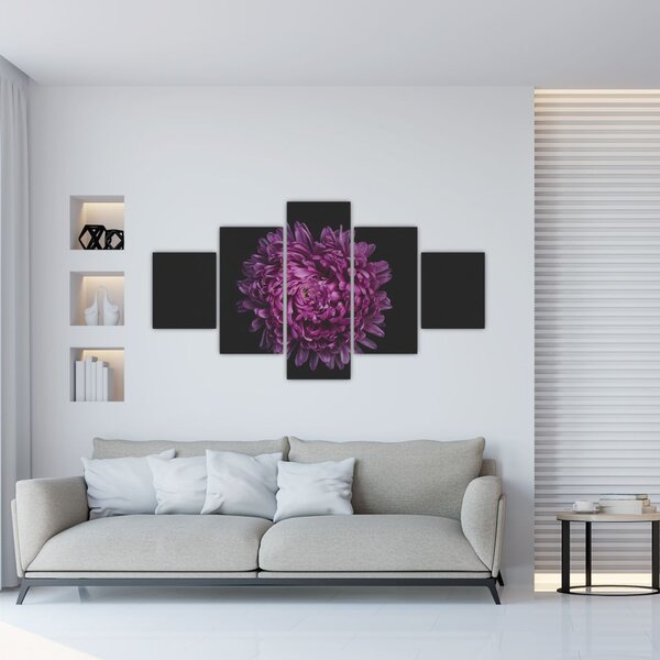 Obraz fialové květiny (125x70 cm)