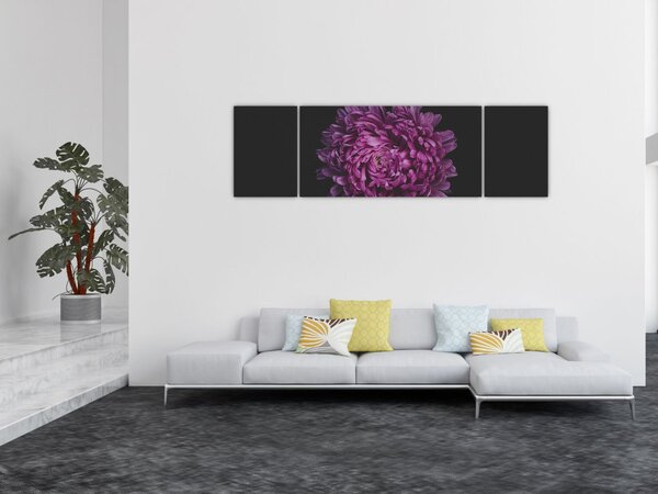 Obraz fialové květiny (170x50 cm)
