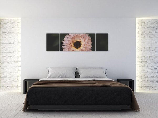 Obraz oranžové květiny (170x50 cm)