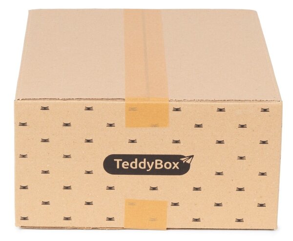 Sada 3 béžových úložných boxů Compactor Teddy, 35 x 15 cm