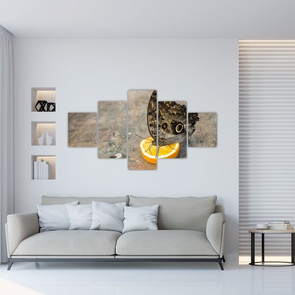 Obraz motýla (125x70 cm)