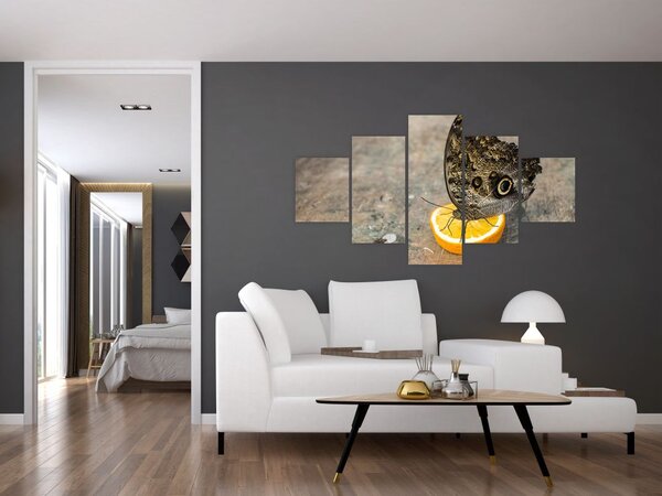 Obraz motýla (125x70 cm)
