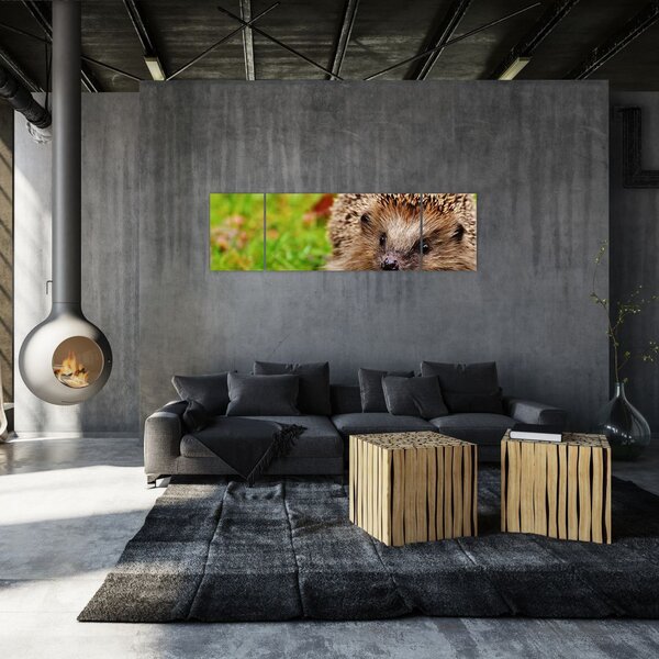 Obraz ježka (170x50 cm)