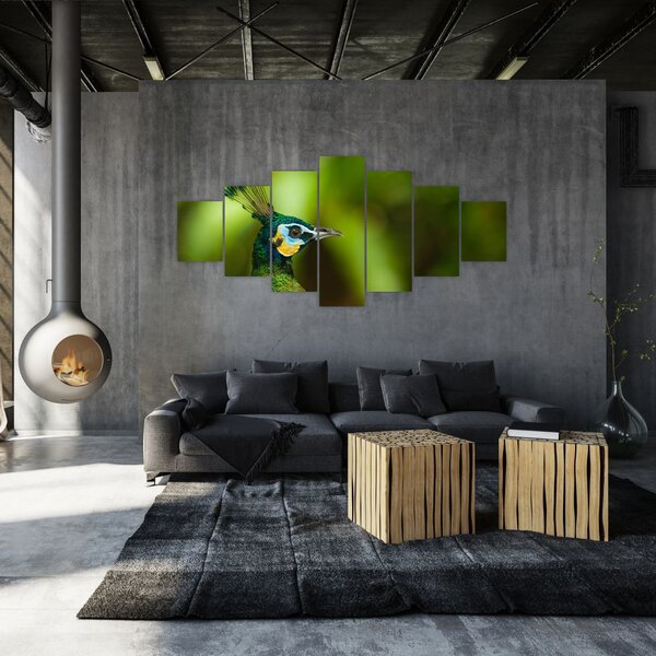 Obraz páva (210x100 cm)