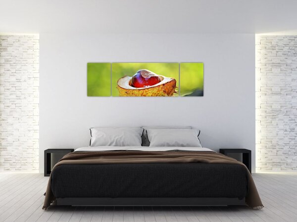 Obraz kaštanu (170x50 cm)