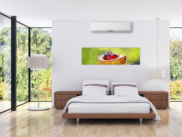 Obraz kaštanu (170x50 cm)