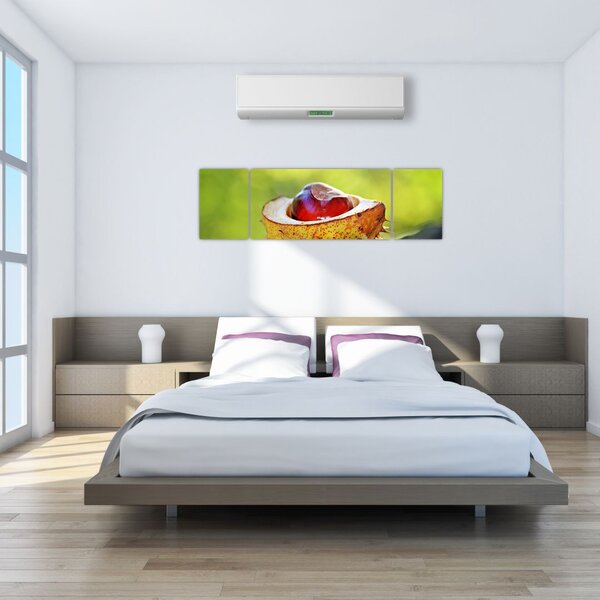 Obraz kaštanu (170x50 cm)