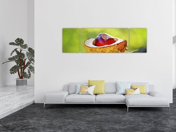 Obraz kaštanu (170x50 cm)