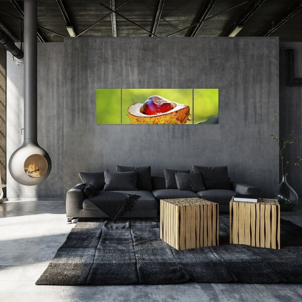 Obraz kaštanu (170x50 cm)