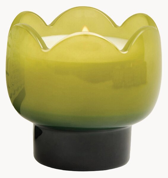 Skleněná vonná svíčka Tulip (verbena, citronová tráva)