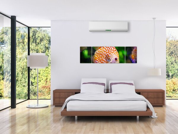 Obraz ryby (170x50 cm)