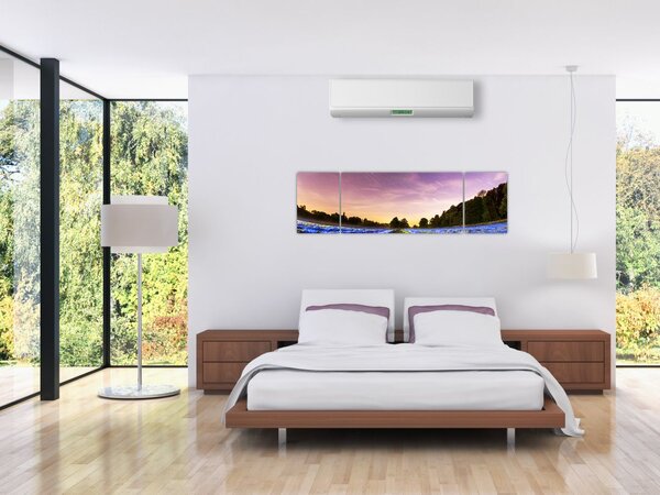 Obraz barevného pole (170x50 cm)