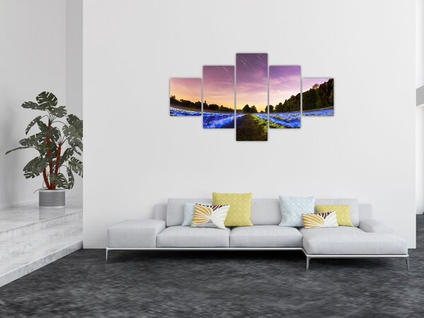 Obraz barevného pole (125x70 cm)
