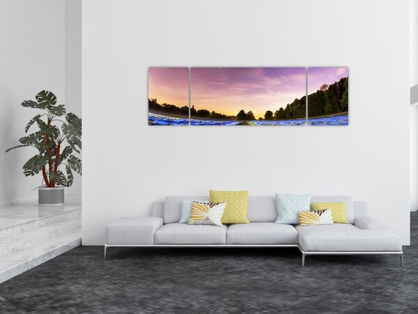Obraz barevného pole (170x50 cm)