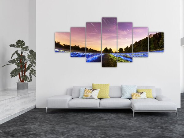 Obraz barevného pole (210x100 cm)