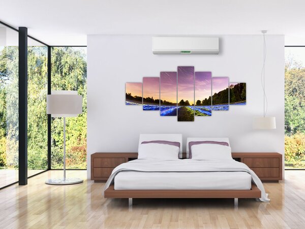 Obraz barevného pole (210x100 cm)