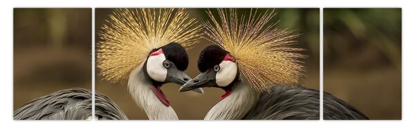 Obraz ptáků (170x50 cm)