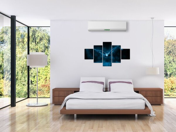 Obraz letící sovy (125x70 cm)