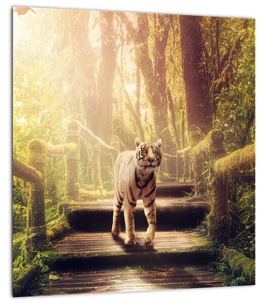 Obraz tygra v džungli (30x30 cm)