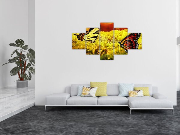 Obraz motýlů (125x70 cm)