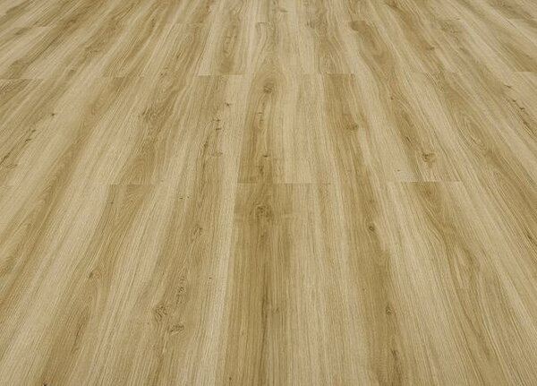 Breno Vinylová podlaha MODULEO ROOTS 40 Classic Oak 24235 – světle hnědé dřevo