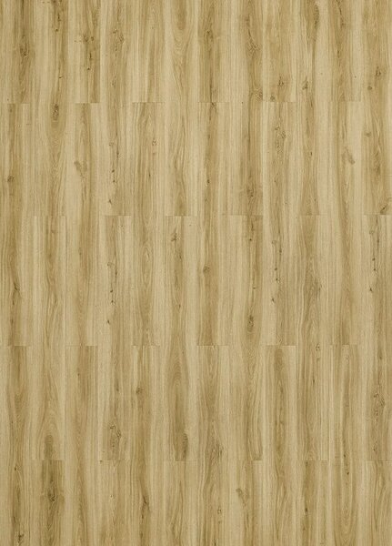 Breno Vinylová podlaha MODULEO ROOTS 40 Classic Oak 24235 – světle hnědé dřevo