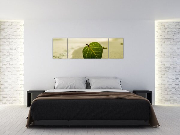 Obraz listu v písku (170x50 cm)